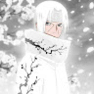 Meet your Posher, Jaime